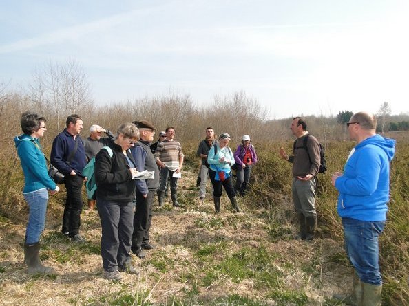 JMZH 2015_sortie sur le Polygone_landes humides  Ajonc nain