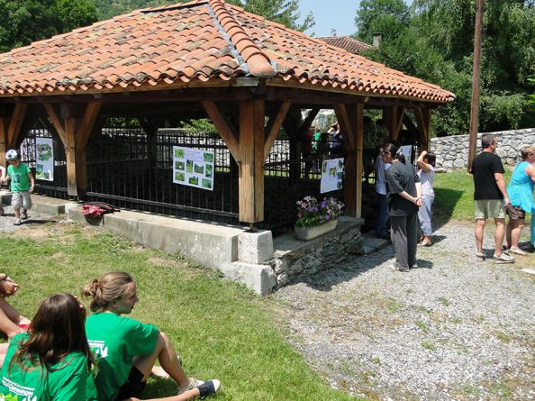 exposition les zones humides ralise par les jeunes du centre de loisir - CEE