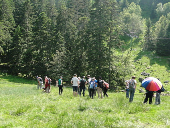 Sortie sur une tourbire au Mourtis lors de l'atelier technique sur les landes subalpines - CEE