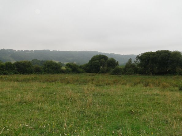 Prairie humide chez un exploitant agricole  Montastruc  - CEE