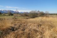 Zone de compensation au remblai, une lande tourbeuse - CEE Zone de compensation au remblai, une lande tourbeuse - CEE