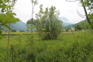 Zone humide de la Hiasse envahie par les frênes et les saules - CEE Zone humide de la Hiasse envahie par les frênes et les saules - CEE