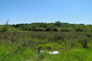 Landes humides du Polygone  Juillan (65) - CEE